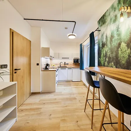 アパートホテル Rybrcoul トルトノフ